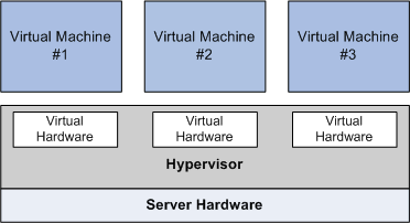 Hardware Virtualization